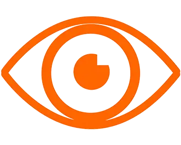 Vision